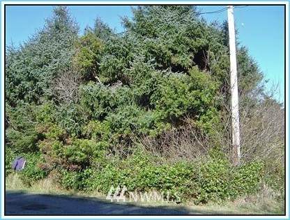 390 Sextans Avenue - Photo 1