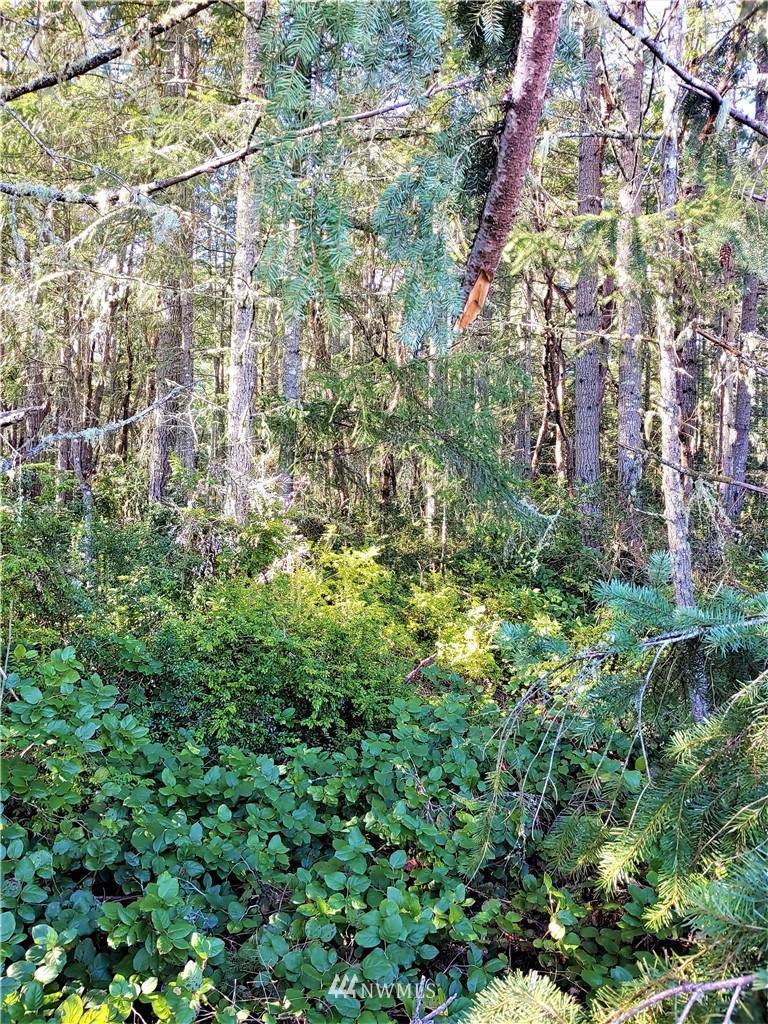 9028 Johnson Road - Photo 1