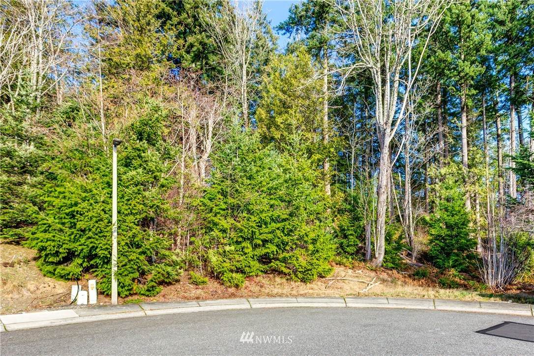 4723 Raptor Lane - Photo 1