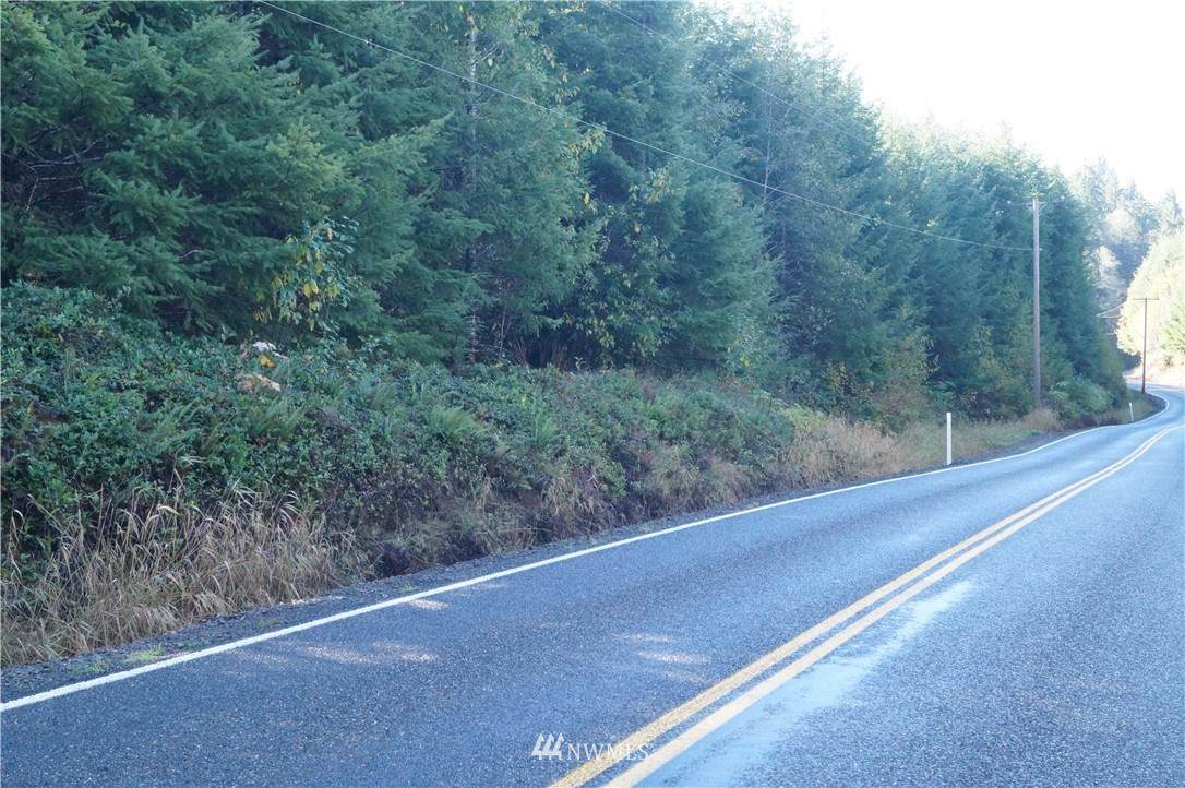 20 XX Wynooche Valley Road - Photo 1