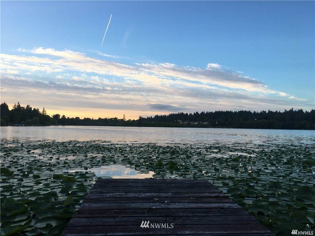 7317 Lake Ballinger Way - Photo 1