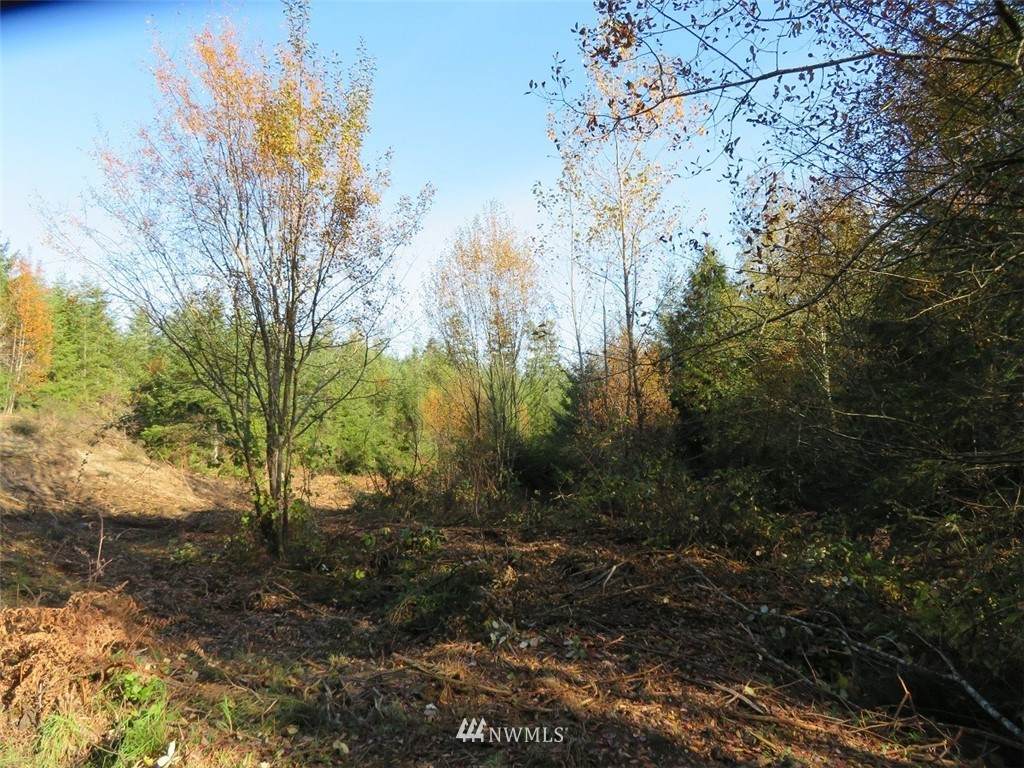 991 Moose Hill Court - Photo 1