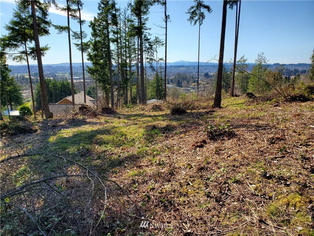 126 Tillicum Drive - Photo 1