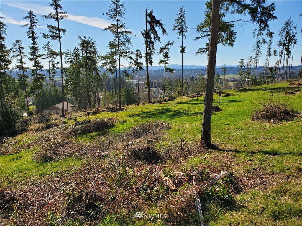 124 Tillicum Drive - Photo 1