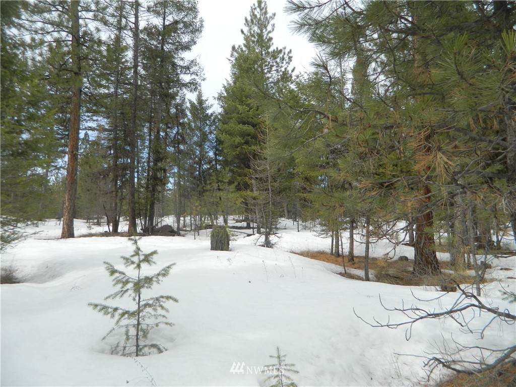 0 Whispering Pines Rd - Photo 1