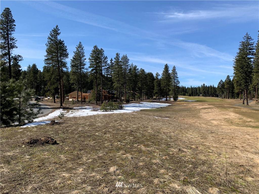221 Tipple Hill Loop - Photo 1