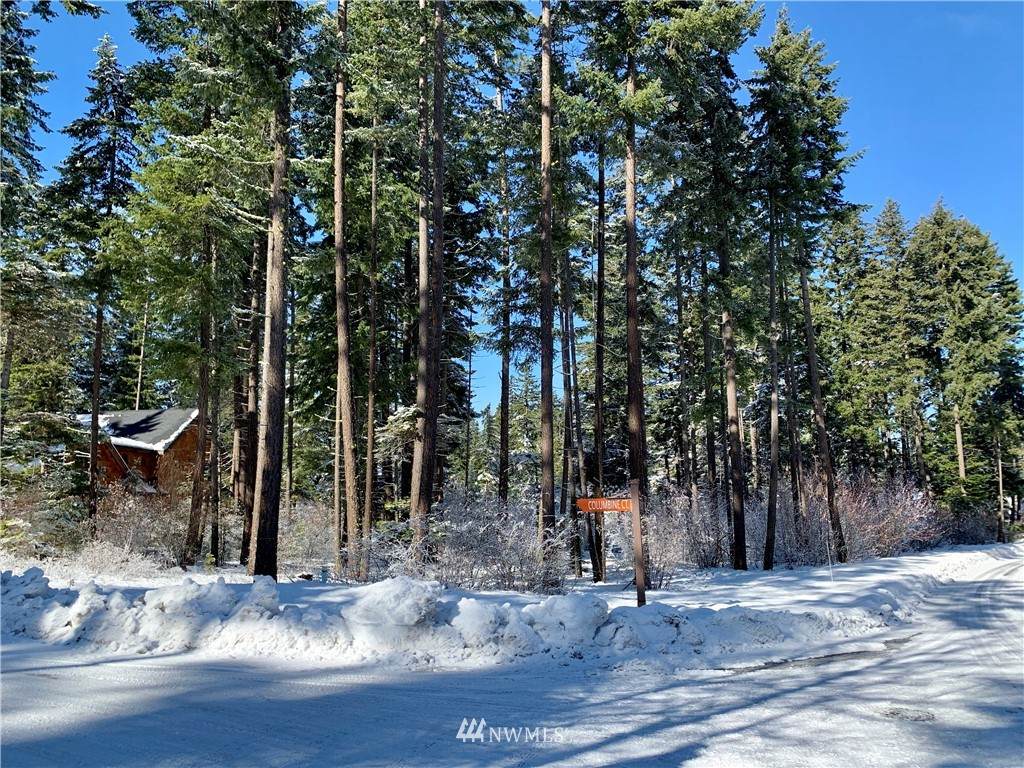21 Columbine Court - Photo 1
