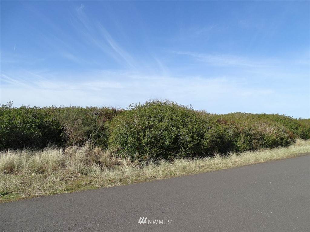 1269 Storm King Avenue - Photo 1