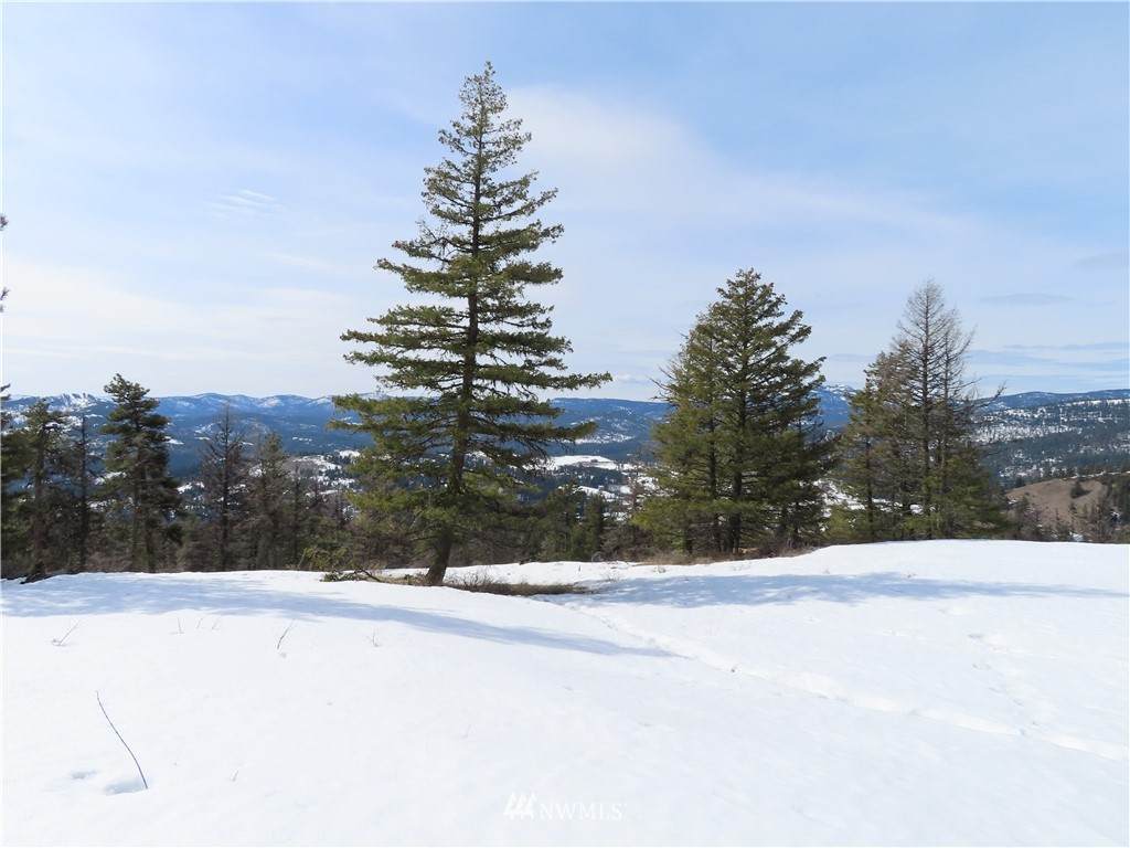 0 Union Ridge Road - Photo 1