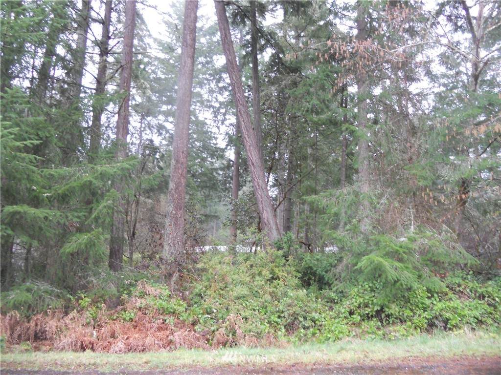 10615 Pioneer Drive - Photo 1