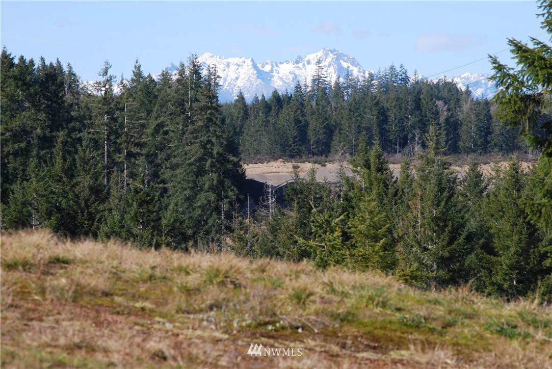 0 Berry Ridge Road - Photo 1