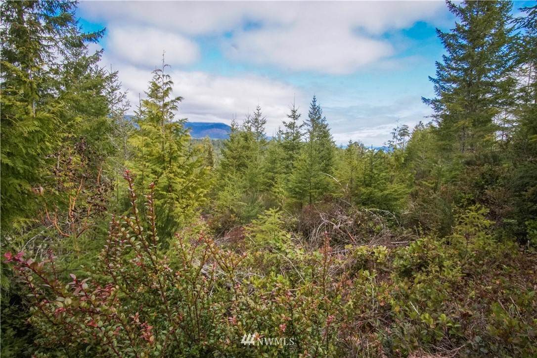 0 Hamma Ridge Court - Photo 1