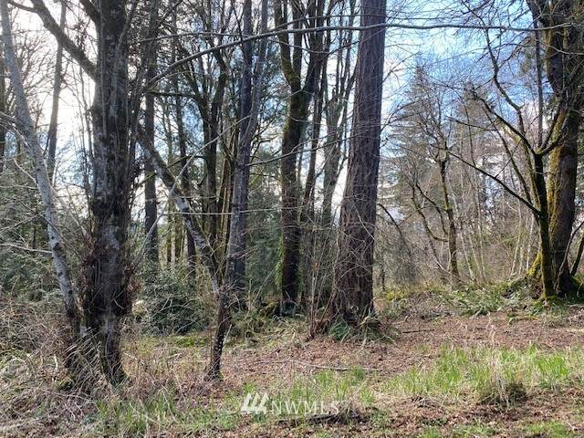 600 Wood - Photo 1