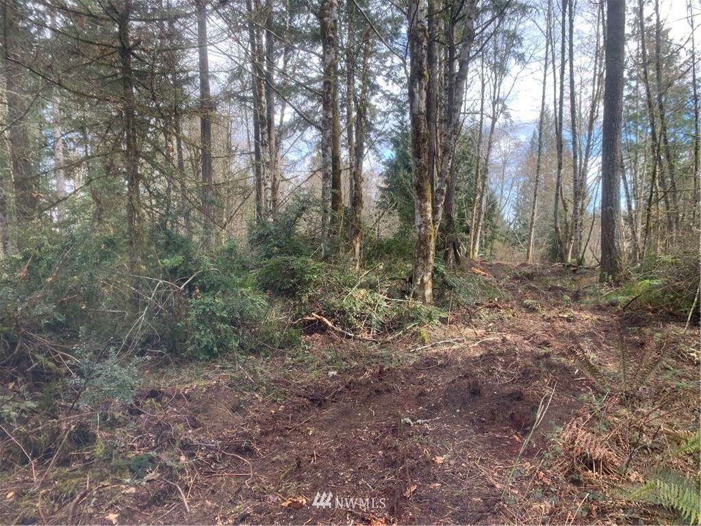 470 Hardings Hill Road - Photo 1