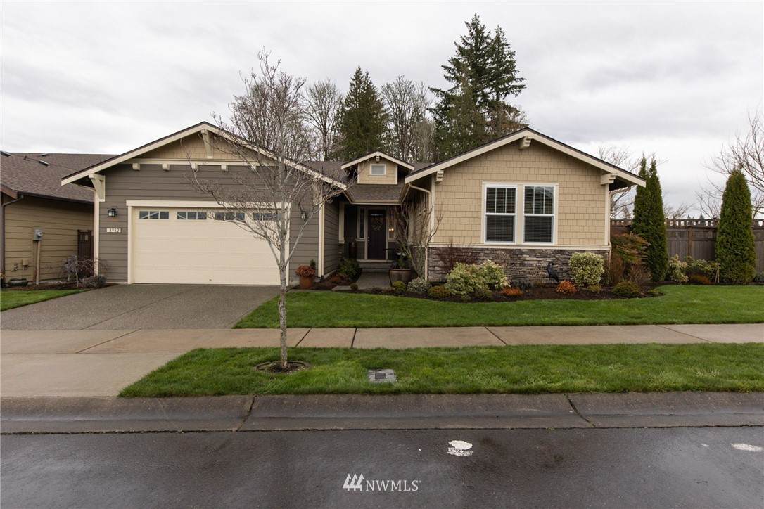 8982 Viola Street - Photo 1