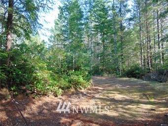 571 Trudeau Mountain Road - Photo 1