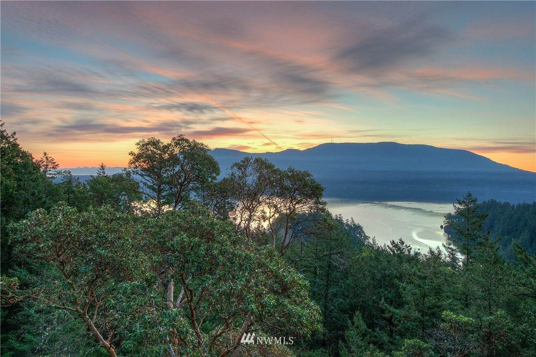 223 Blanc Road - Photo 1