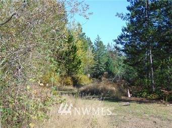 0 Trudeau Mountain Road - Photo 1