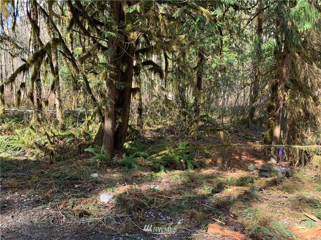 0 Cascade Way - Photo 1