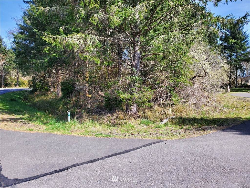 306 Lake Bay Loop - Photo 1