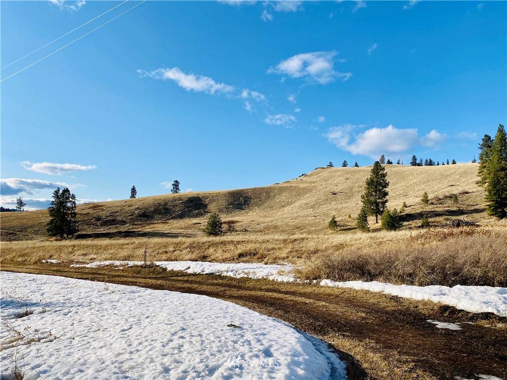 0 St Peter's Creek Road - Photo 1