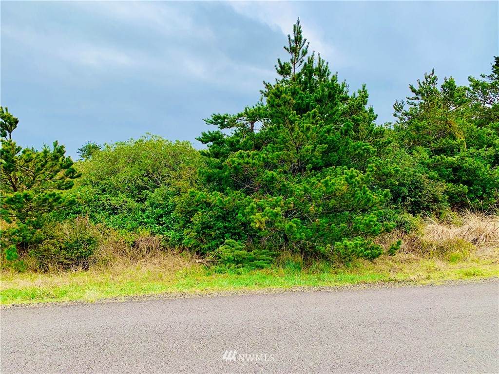 1301 Ocean Shores Boulevard - Photo 1