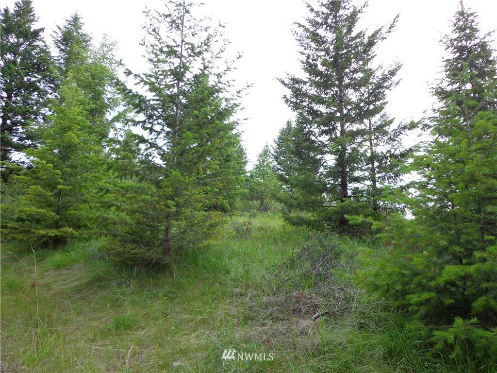 0 Switchback Road - Photo 1