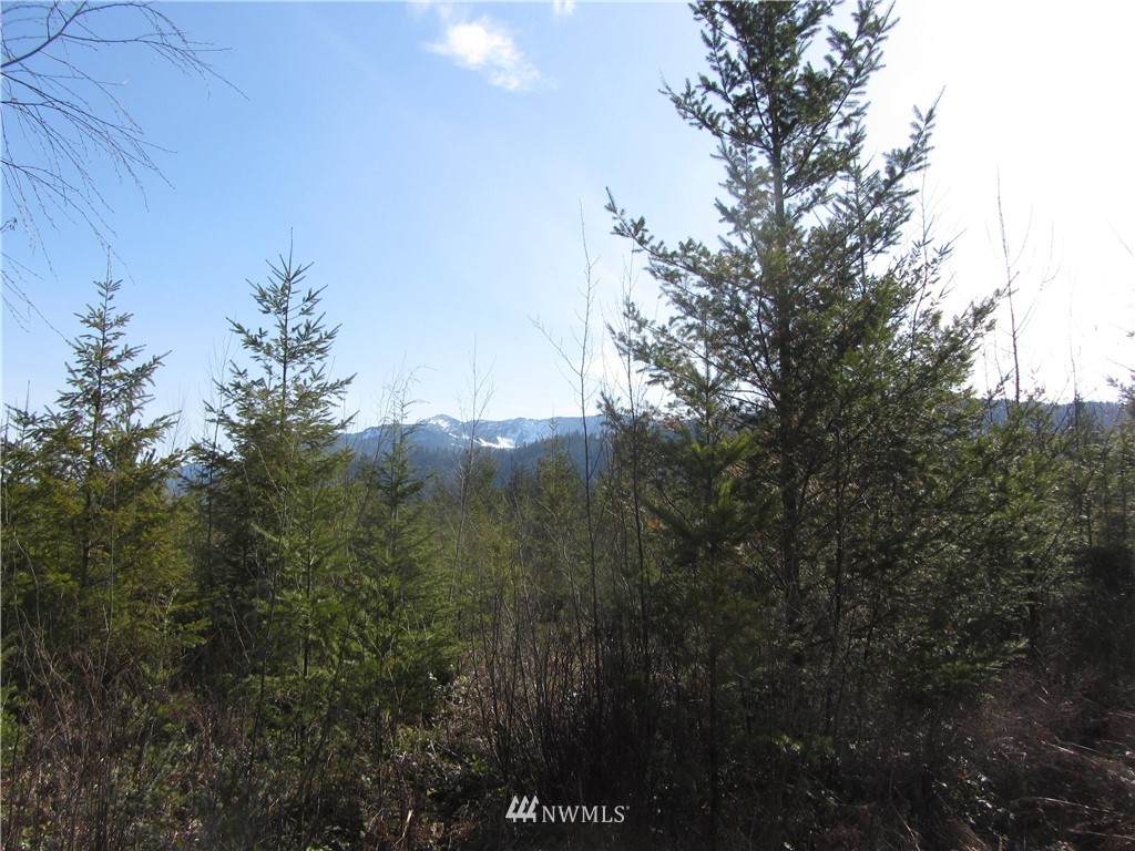 9250 Heady Road - Photo 1