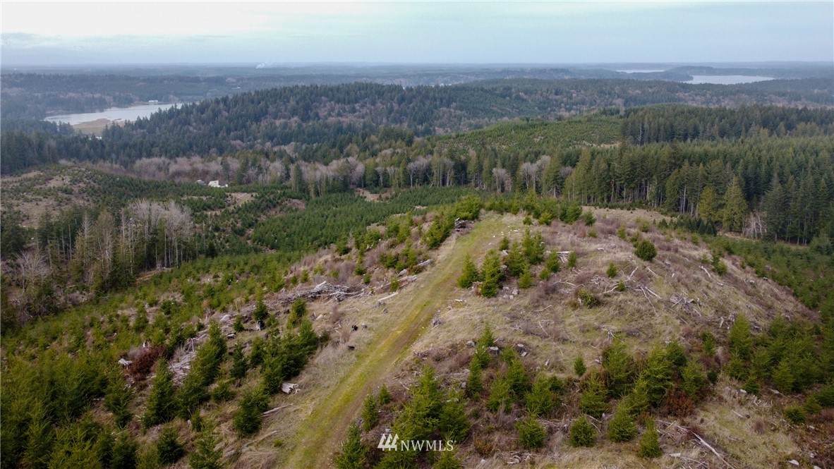 9201 Old Olympic Highway - Photo 1