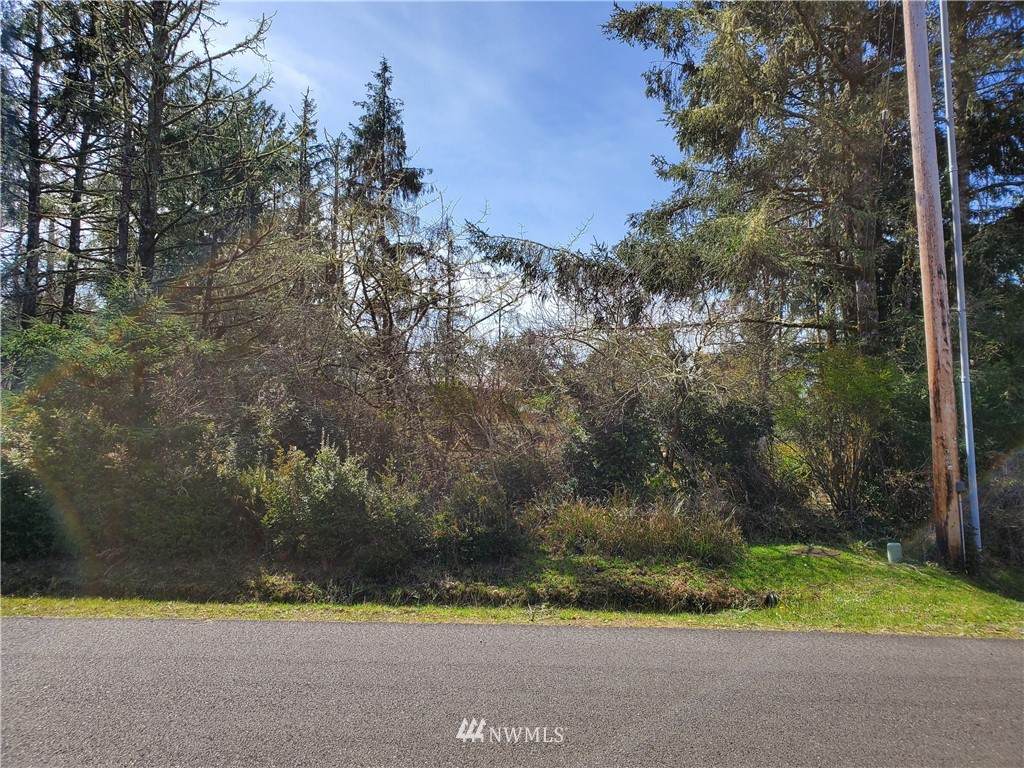 777 Falls Of Clyde Loop - Photo 1