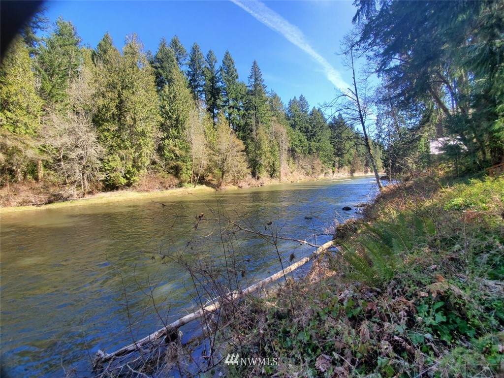 16916 Holly Street - Photo 1