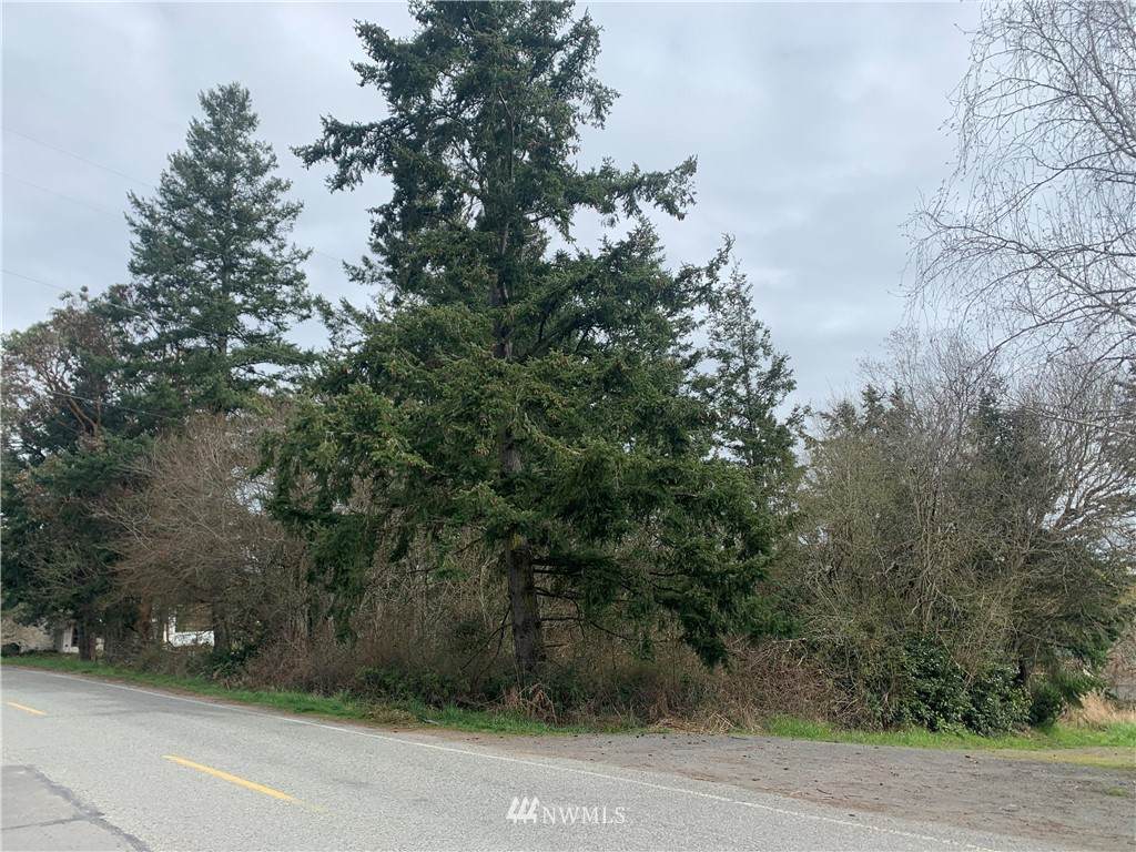 230 Marguerite Place - Photo 1