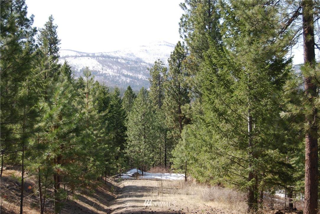 1 Stagecoach Trail - Photo 1