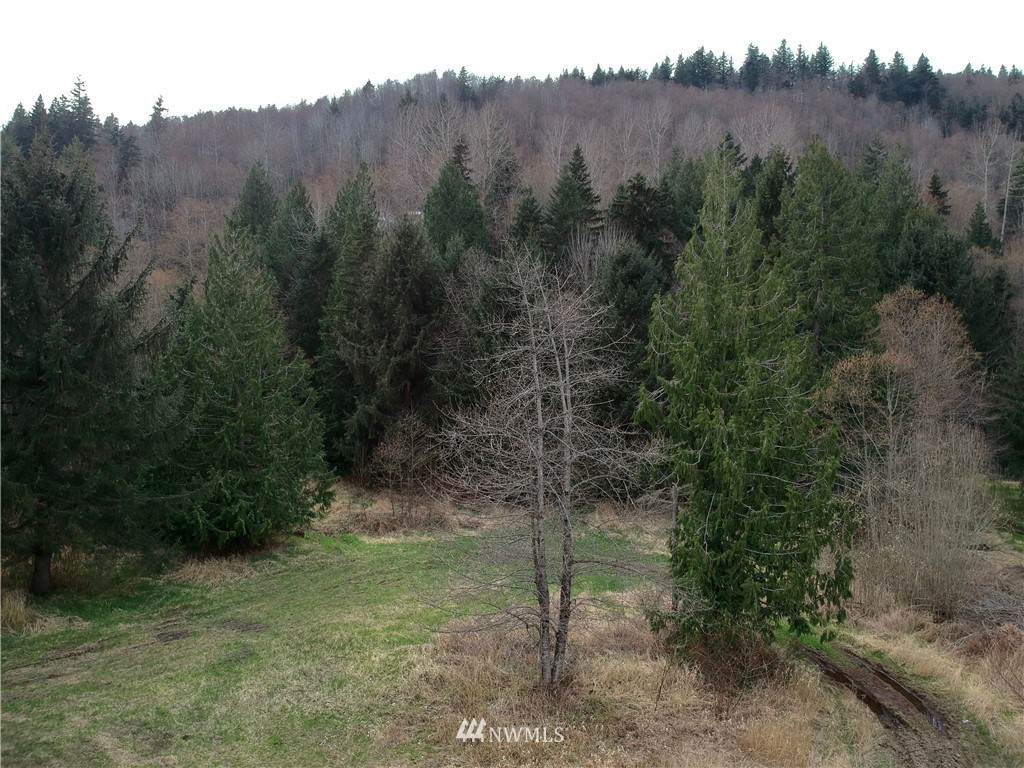 48100 284th Avenue - Photo 1