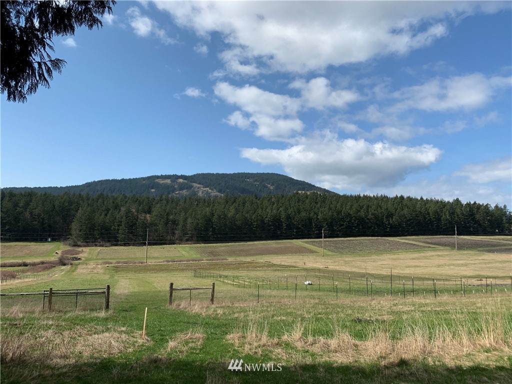 3800 Orcas Road - Photo 1