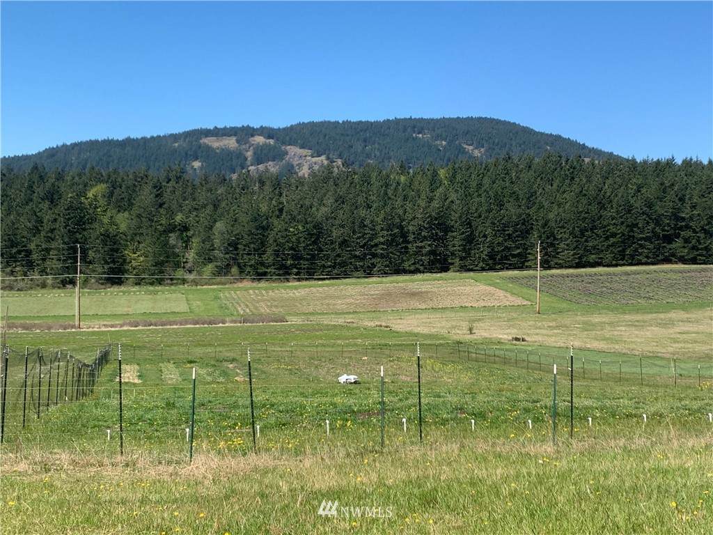 3600 Orcas Road - Photo 1