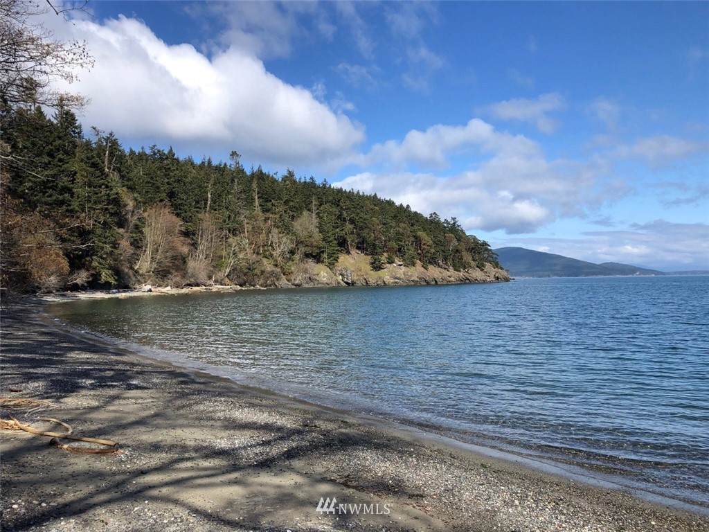 0 Thatcher Pass Rd-The Hermitage - Photo 1