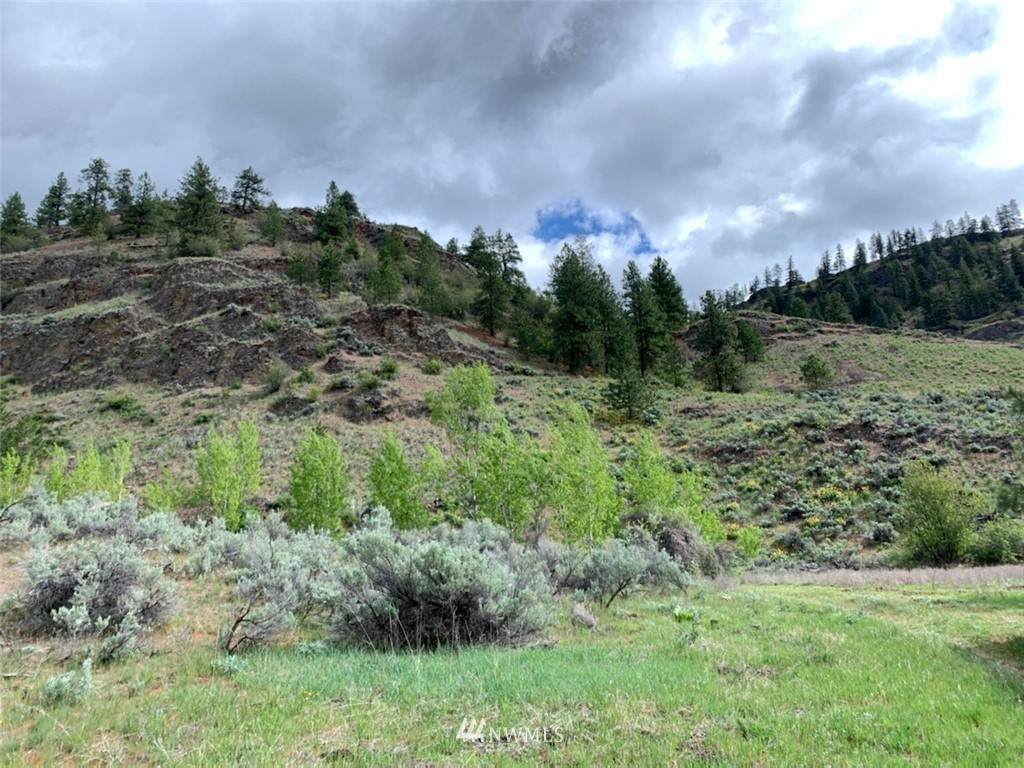 27 xx Whiskey Mountain Ranches - Photo 1