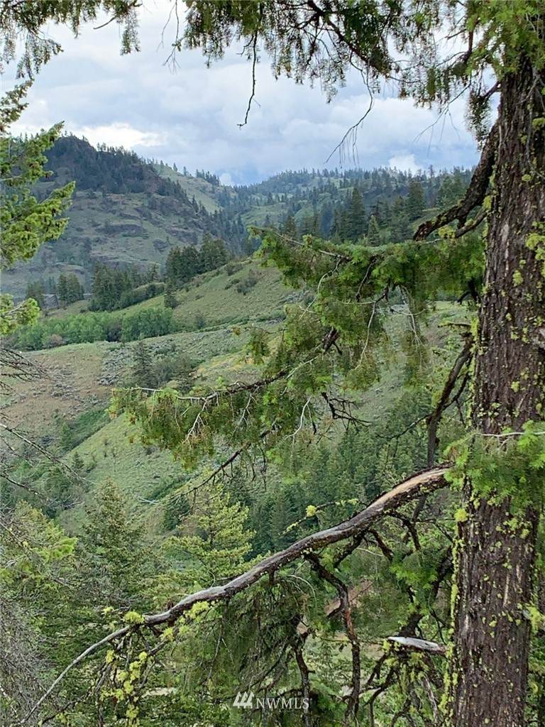 29 xx Whiskey Mountain Ranches - Photo 1