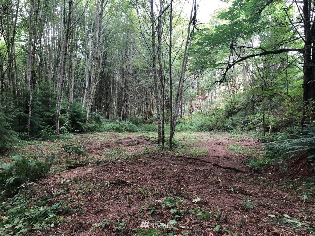 0 Forest View Lane - Photo 1