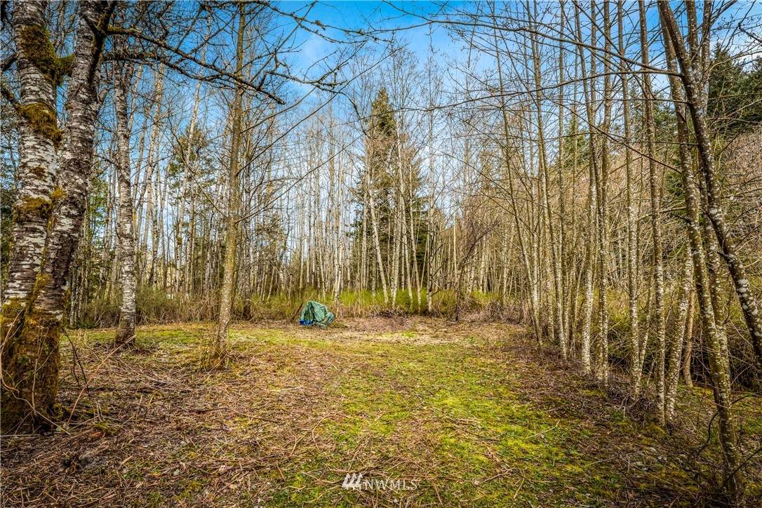 3788 Birch Bay Lynden Road - Photo 1
