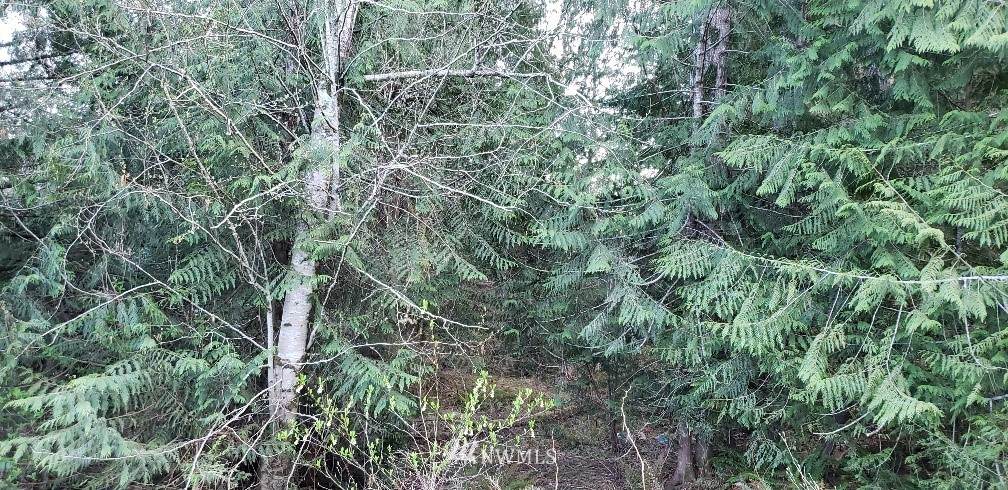 350 Dartmoor Drive - Photo 1