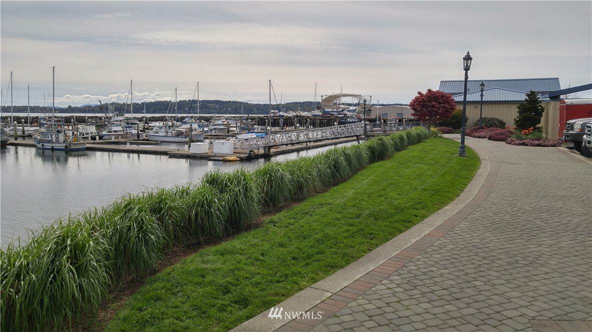 32 Blaine Harbor - Photo 1