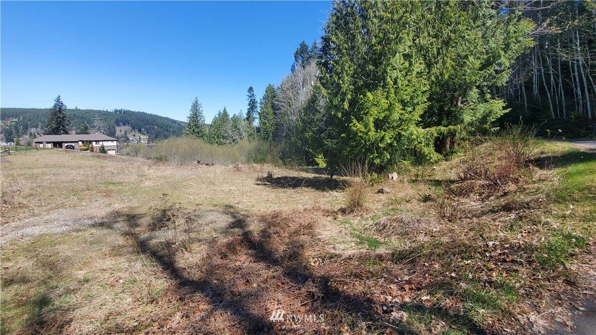 947 Turkey Road - Photo 1