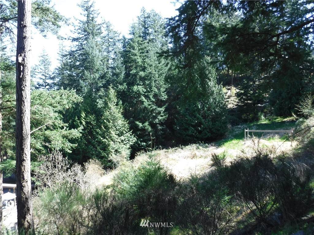 1236 Jamison Street - Photo 1
