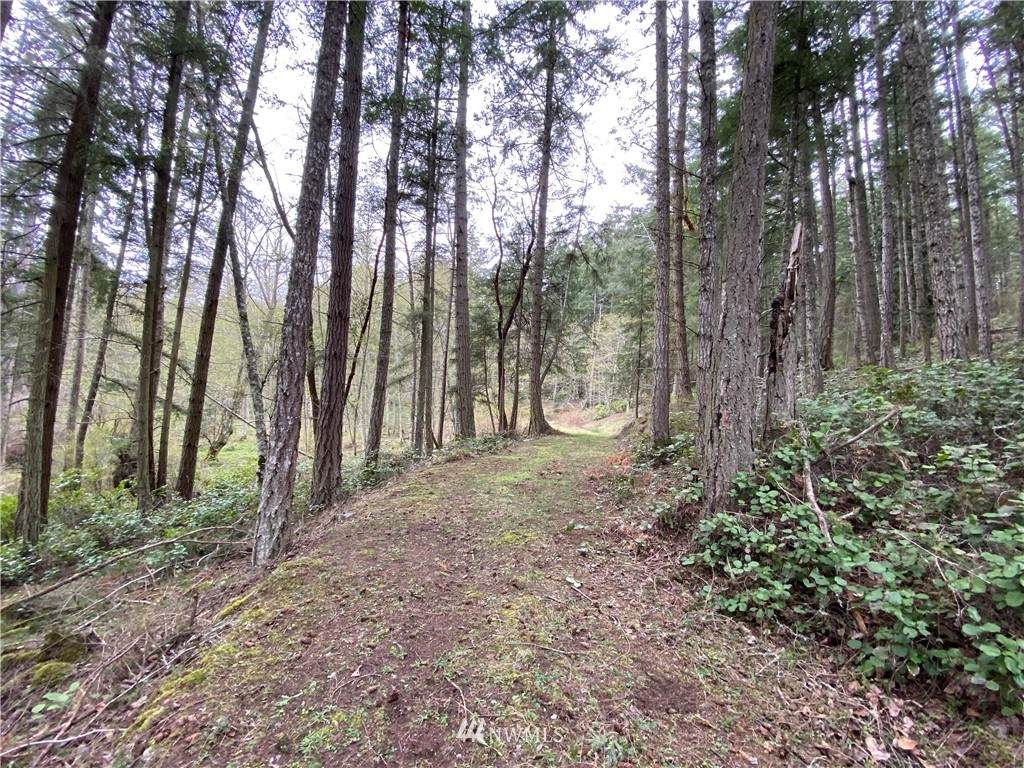 10 Hyak Lane - Photo 1