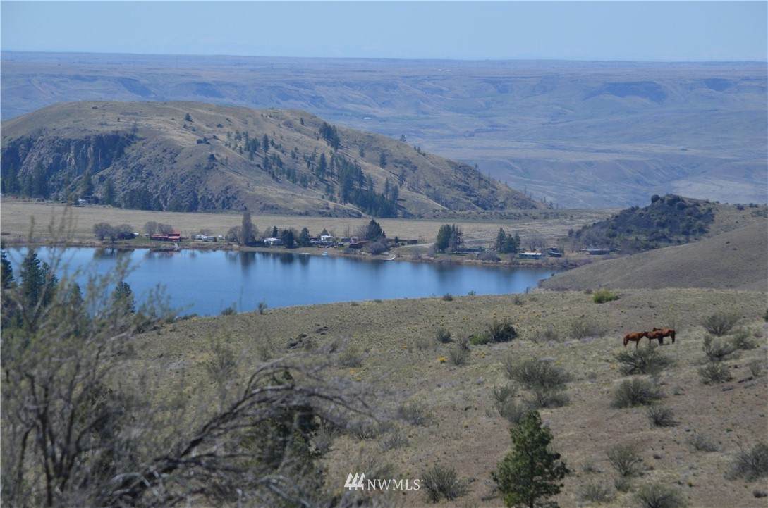 0 Off Buffalo Lake Road - Photo 1
