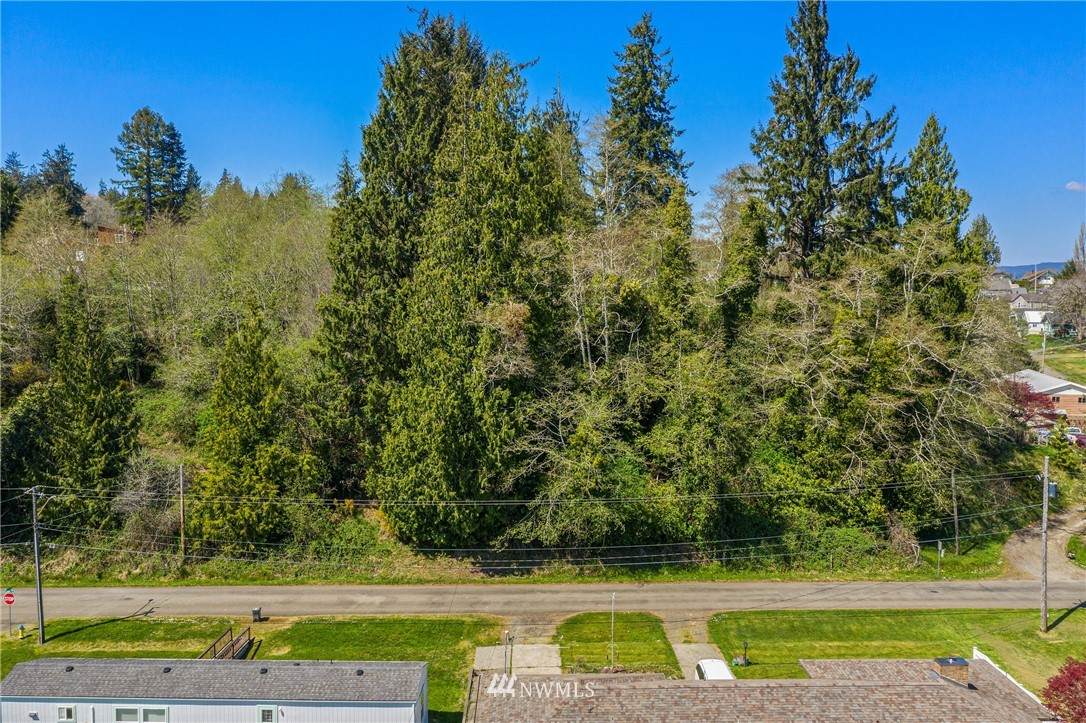 0 Pacific Avenue - Photo 1