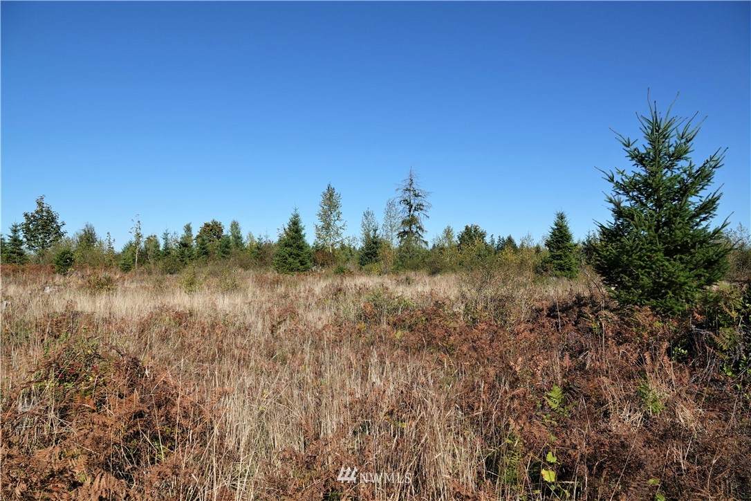 15633 Timber Ridge Lane - Photo 1