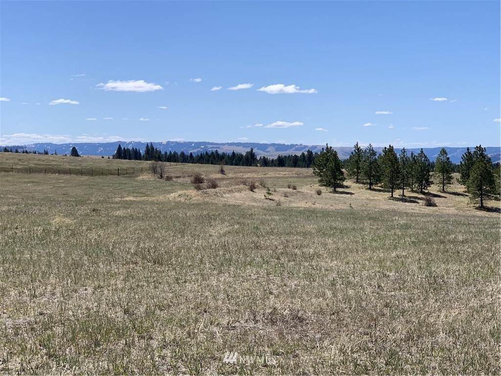 0 Wildhorse Road - Photo 1